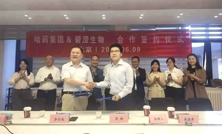 哈药携手清华大学，强强联合共创胶原蛋白行业未来